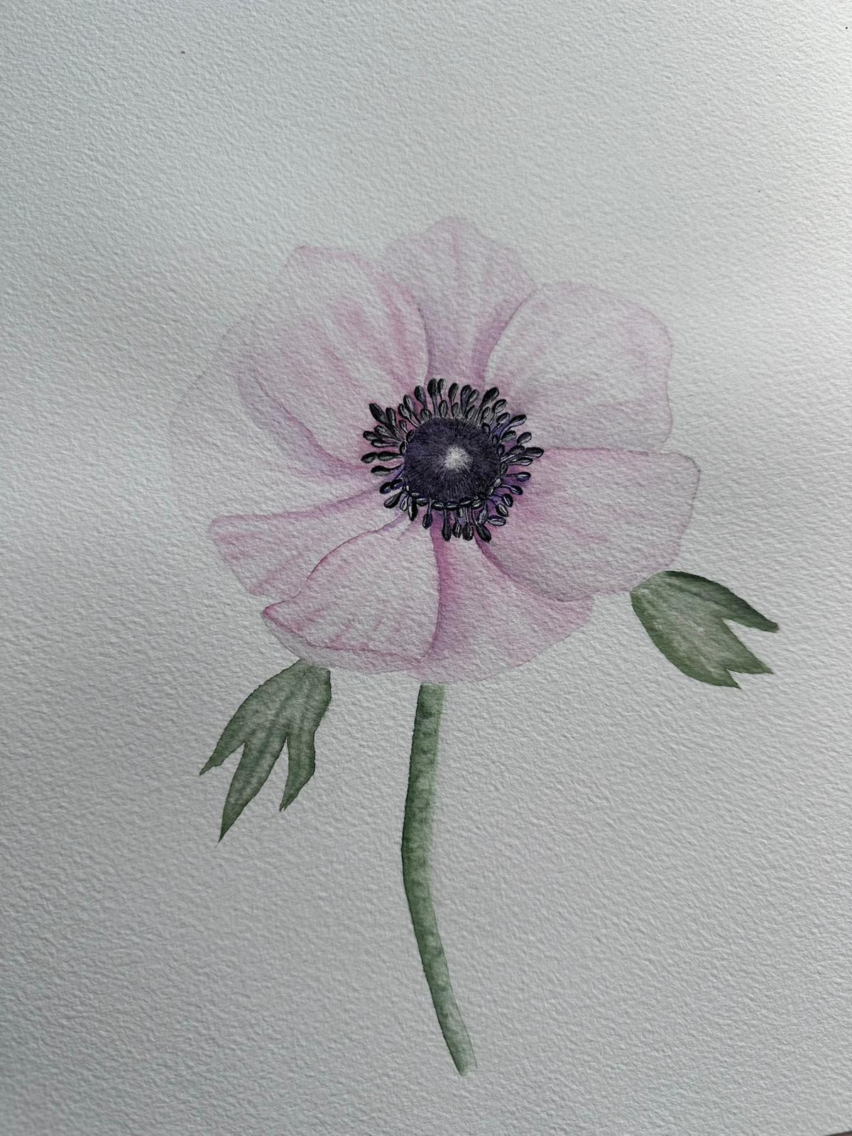 Anemone Beautiful Painting - 9" x 12" Size (Original)