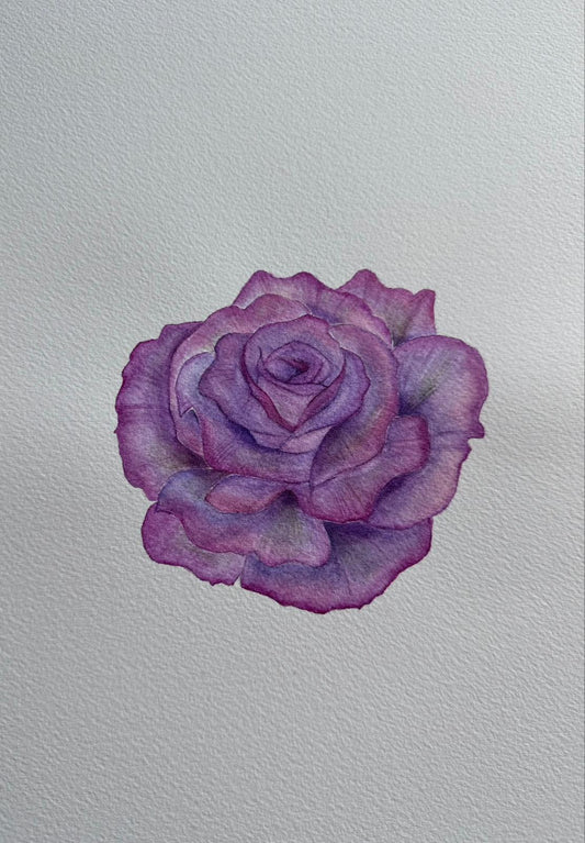 Watercolor Purple Rose - Beautiful Painting - 9" x 12" (Original)