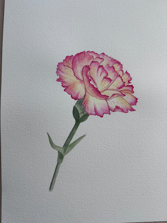 Watercolor Carnation - Beautiful Painting - 9" x 12" Size (Original)